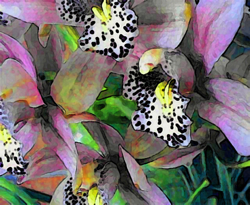 cym61.jpg (274673 bytes)