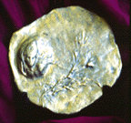 mistx.GIF (18330 bytes)